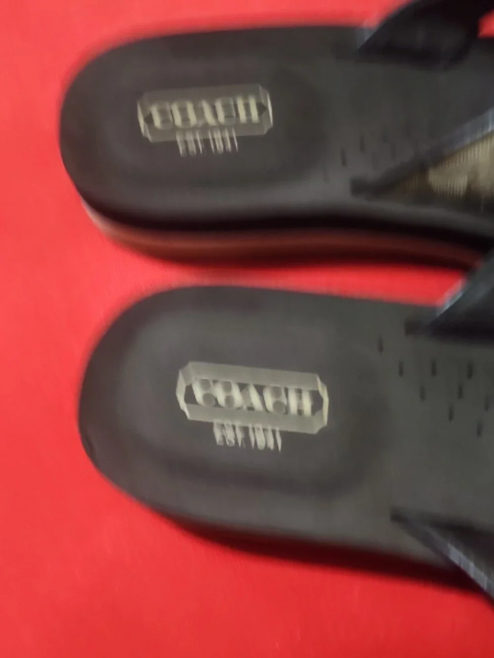 Coach Jillian Brown and Tan Floral Thong Sandals